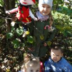 Dzieci razem z Hałabałą poznają rodzaje drzew