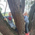 Dzieci badają dotykiem korę drzewa