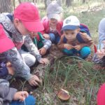 Dzieci znalazły pierwszego grzyba