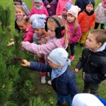 Dzieci oglądają drzewo iglaste