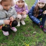 Dzieci szukają wiosennych kwiatów 1