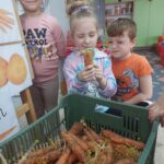 11. Dzieci oglądają marchew bio pod lupą