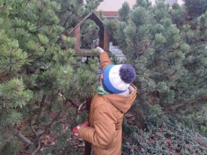 Chłopiec daje ziarenka do karmnika