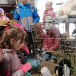 Dzieci karmią króliczki