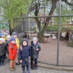 Dzieci z oddziału Biedronek zwiedzają mini zoo