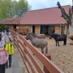 Dzieci z oddziału Biedronek zwiedzają mini zoo