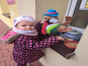 Dziewczynka daje ziarenka do karmnika