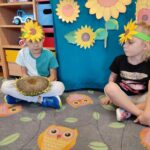 oglądanie przez dzieci owocu słonecznika