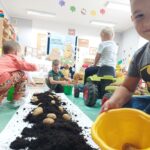 Chłopiec zbiera ziemniaczki do wiadereczka