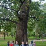 Dzieci dziękują drzewom za tlen