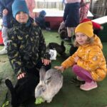 Dzieci podczas karmienia królików sałatą