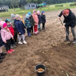 Dzieci przyglądają się jak się wykopuje ziemniaki