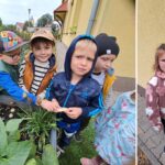 Dzieci z oddziału Biedronek oglądają warzywa w ogródku przedszkolaków