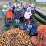 Dzieci z oddziału Biedronek z pozbieranymi ziemniakami