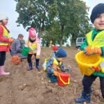 Dzieci zbierają do wiadereczek zemniaki z eko uprawy