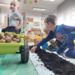 Dzieci zbieraja z dwóch rajek w sali przedszkolnej ziemniaki