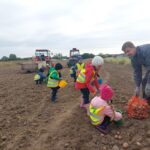 Dzieci zbierają ziemniaki na polu w Krzydłowicach