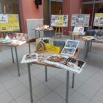 Wyeksonowane na stołach i tablicach zdjęcia, informacje i albumy dotyczące życia papieża