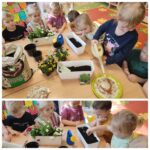 Dziewczynka podlewa rzeżuchę