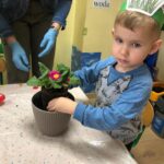 dzieci sadzą kwiatki