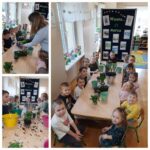 Mróweczki poznają budowę kwiata