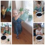 Mrówki sieją rzeżuchę i owies