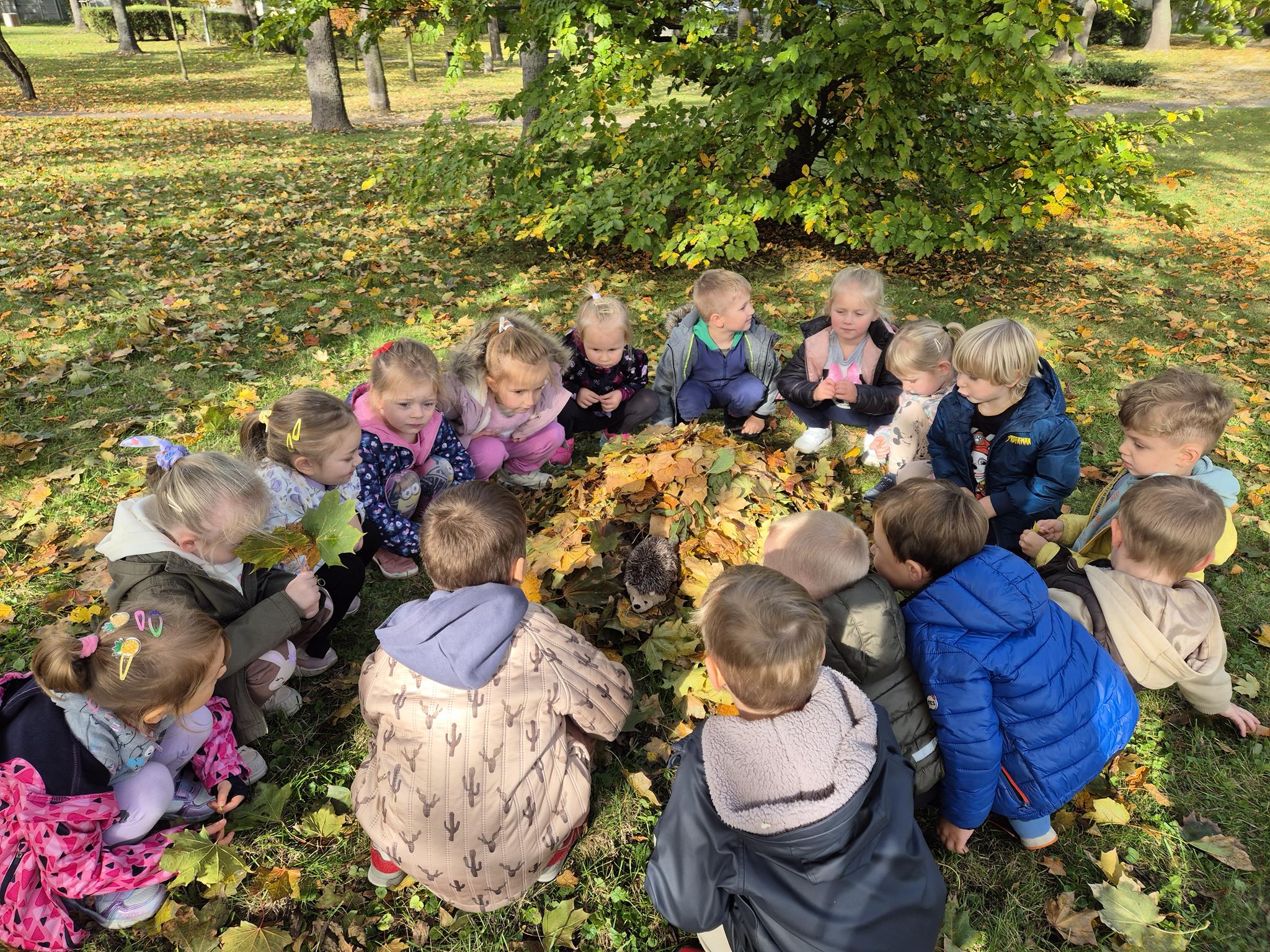 Dzieci przygotowały domek dla jeża w praku