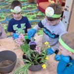 dzieci z oddziału stokrotki sadzą kwiatki