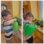 Chłopcy podlewają rośliny