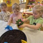 Dziewczynki sadzą stokrotkę