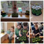 Mrówki robią nasady roślin