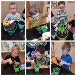 Mrówki robią wiosenne nasady roślin do kącika