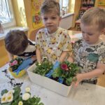Przedszkolaki sadzą rosliny