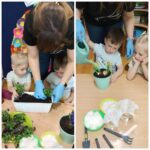 Przedszkolaki z oddziału Żuczki wsadzają do ziemi i podjewają kwiatki