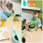 Przedszkolaki z oddziału Żuczki wsadzają do ziemi żąkile i hiacynty