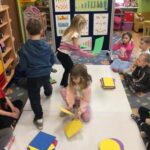 Segregowanie według kształtu