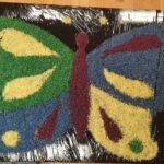 Sensoplastyczny Motyl Mrówek