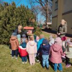 Żuczki na spacerze obserwują pogodę
