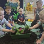 Chlopcy-sadza-bratki