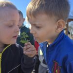 Chlopcy-wachaja-nac-pietruszki