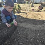 Chlopiec-sieje-koperek