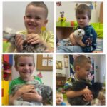 Dzieci-glaskaja-kurki