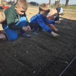 Dzieci-sadza-fasolke