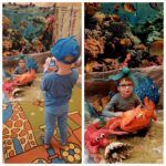 Fotograf Alan robi zdjęcie