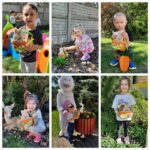 Mrowki-podczas-poszukiwan-Zajaczkowych-koszyczkow