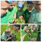 Obserwacje-przyrodnicze-slimakow