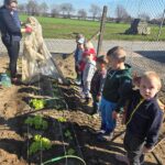 Pani-Sandra-prezentuje-uprawe-pod-folie