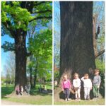 Przedszkolaki-z-oddzialu-Zuczki-swietuja-Dzien-Ziemi-w-parku