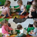 Żuczki doją krówkę