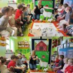 Żuczki poznają zwierzę owce.